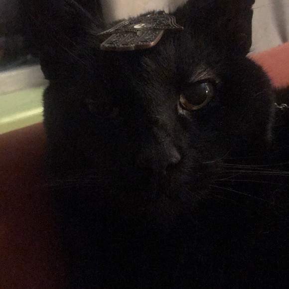 Necklace - Picture 2 of 7